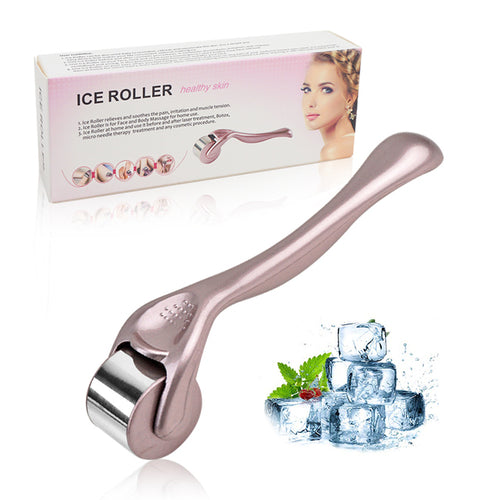 Professional Stainless Steel Ice Facial Roller